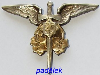 padelany-odznak-polniho-letounoveho-pozorovatele-zbrani